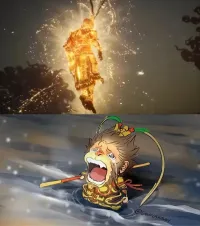 纵狂