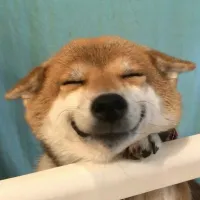 一条臭骚
