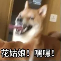 浑身难受皮痒