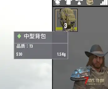 【V3.3.0】Momo的拼图式背包 v0.1.0 Demo__ 库存系统大改~