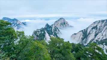 雪飘人间