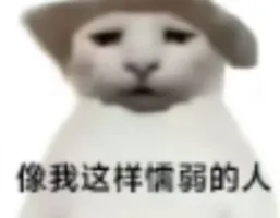 《》《》《》_408