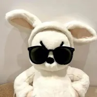 哈哈王先生