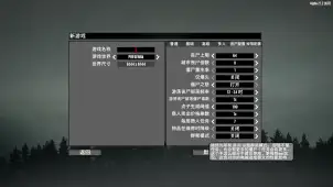 额外配置