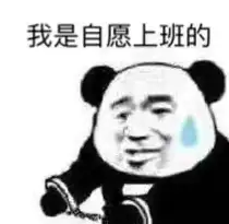 游戏内按了ESC之后，要过两三秒才出现选项菜单
