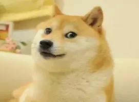 艺术你的