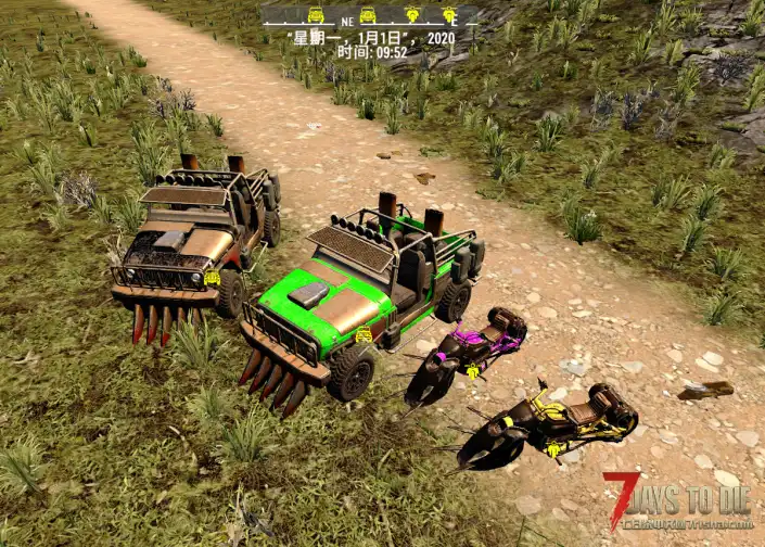 DW1982s额外染料等