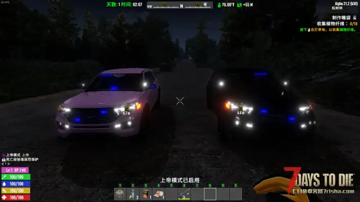 福特无标识警车