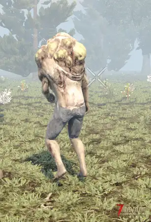 雪碧火线世界mod服,全新模组 特色副本 等你来战