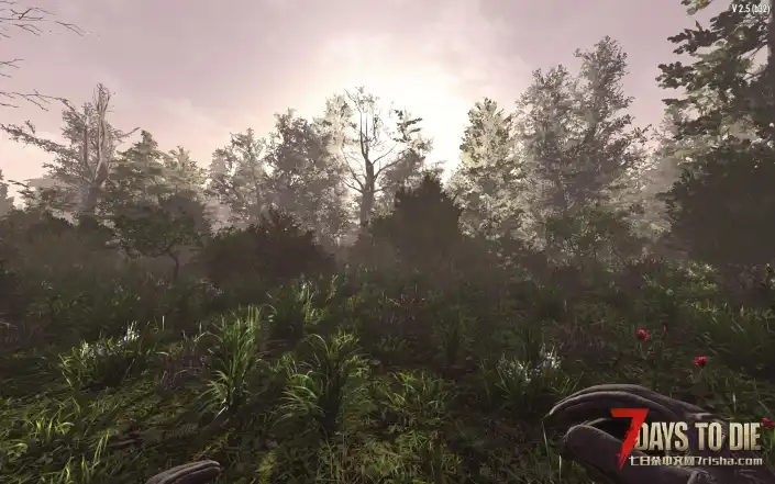 21号新开服务器，塔科夫枪械包+MPLogue的预制建筑+Witos的载具