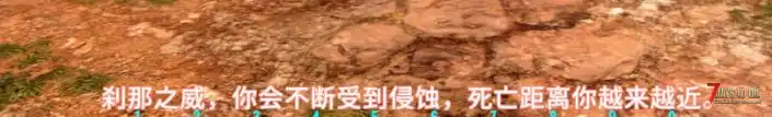 ♥肝硬化♥服务器新手攻略(●￣(ｴ)￣●)小白玩家指导手册♥