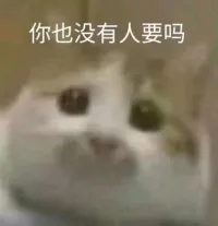 无患_339
