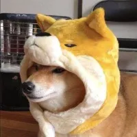 也_785