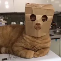 不青山