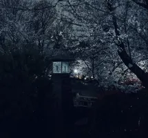 十壹