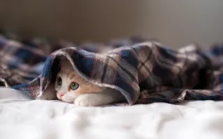 ๑乛◡乛๑_196
