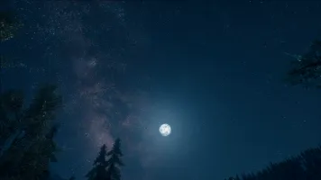 迷人的小淦