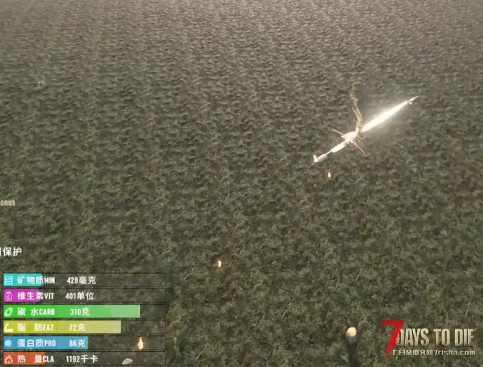 直连【V2.1】MOD「炎狱裁决者·烈焰飞刃」双形态武器实践分享