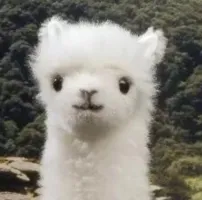 112211