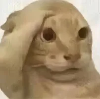 花凌若别离