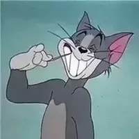 bin_216