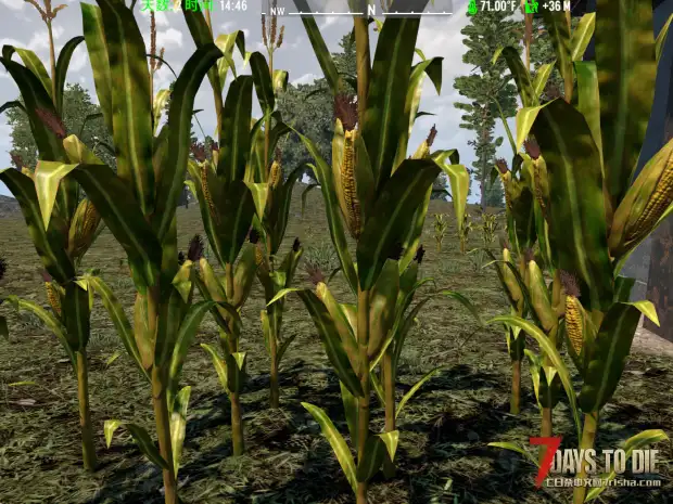 【小型MOD】水泥地  都可以种植农作物  喜欢种田的玩家可以看一看（A21.2版本/直连）