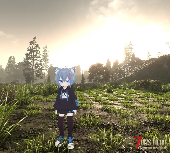 [6.1日特定] Custom Avatars 人物模型 小Rusk（2026/6/14更新）