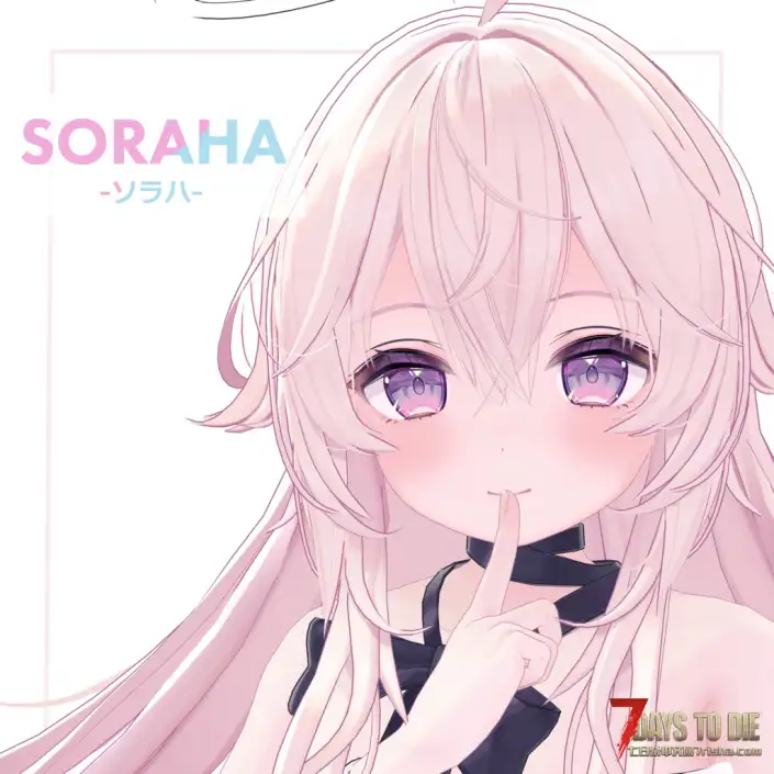 Custom Avatars 人物模型 Soraha
