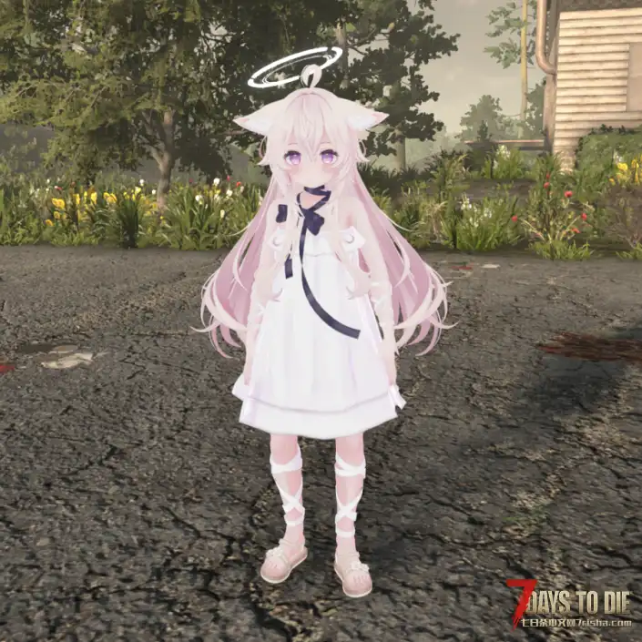 Custom Avatars 人物模型 Soraha