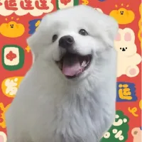步步