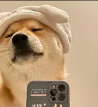 笔落墨台丶