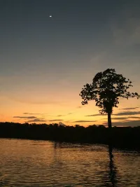 霎时暖风归