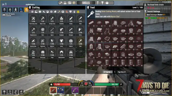 😺 CATUI For Project Z(Z计划)支持直连服务器【最后更新:2026.8.12】