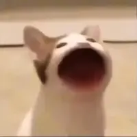 Ⅳ