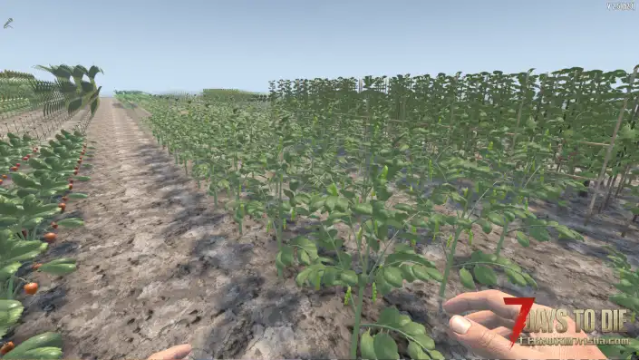 2026.1.17 新开独家模组，V2.5版本死亡之国MOD