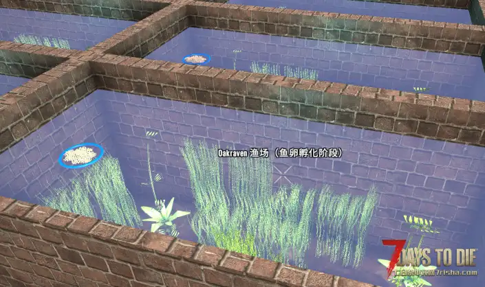 V2X.①养鱼池(原版和【新一】的适配木南UI版本!【热气球】【不靠谱的僵尸mod】N网搬运已汉化!