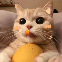 酸味儿