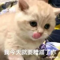 k.