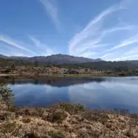 伤性殇情