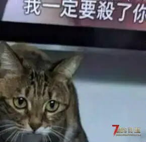关于我发表的帖子提取码错误的问题