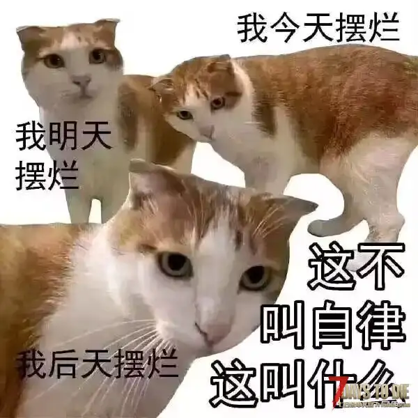 【人物模型】Vroid Mod V2.3主角模型，龙胆绷带装（A21）