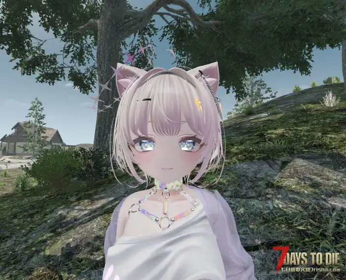 七日杀V2.3–V2.4，Custom Avatars玩家模型，米露菲Cheeky Tweaky