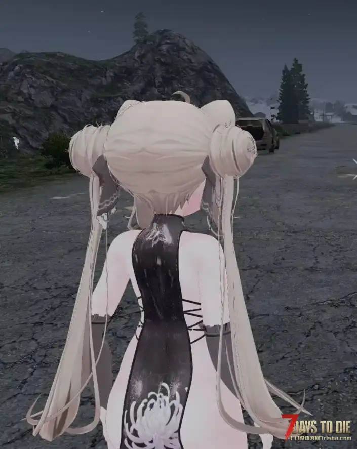 Custom Avatars,原名（Vroid mod）玩家模型，Manuka旗袍