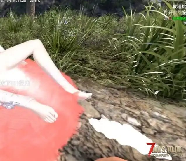 V2.5版本，昔涟动态篝火