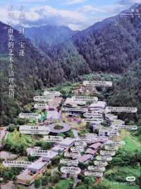 饼干_618