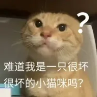 心梦审判