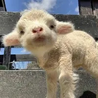 邮寄出感觉