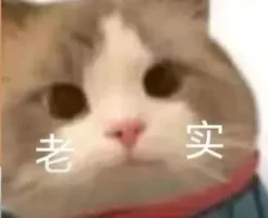 正直少年