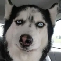 затишь