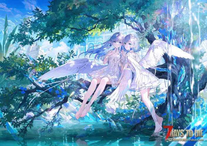 2.3 长期纯净服 怪多不卡